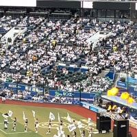 ロッテの応援