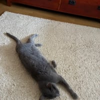 7月5日