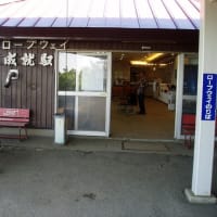 速報)政府,備蓄米放出か!?&ロスで再び新たな山火事発生か!?&速報)米警察,水原一平に懲役4年9ヶ月,賠償金26億円で求刑か!?&四国メイン旅行,猫島(佐柳島)から伊予西条で石鎚山へ・・