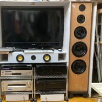 VISATON S完成