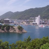 ＮＨＫ野山の植物観察（仙酔島）