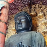 旅の思い出　春旅🌱  奈良　大仏さまの名物✨✨