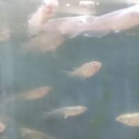 2023/10/04