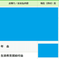 2024年（令和6年）4月期の障害者基礎年金と年金生活者支援給付金の振り込みについて