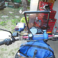 ラリー車っぽく