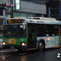 Z-R607