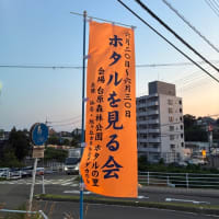 蛍の季節