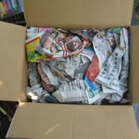 木工作業の途中で届いた８㍉カメラ
