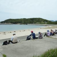 グループわらじ　第599回徒歩定例会「田代島・網地島ハイキング」その１網地島