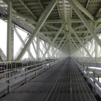 「わーこわい」でも心配しないで慣れます