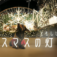 クリスマスの灯