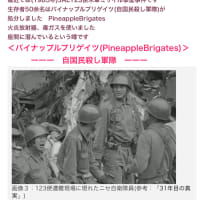 ​​JAL123便missile撃墜‼️は、タイタニック号沈没(暗殺)手法らしい😱　2024/08/12