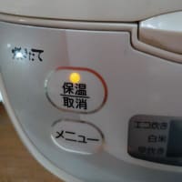 梅の季節がやってきました。