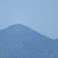 朝日ヶ丘富士見公園から見る丹沢と富士山 2024.5.11