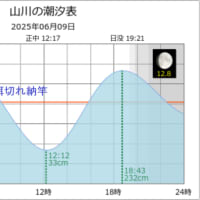 鯵釣り