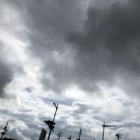 cloudy & オナガ