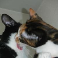 　　ラブラブ(#^.^#)