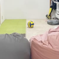 スポーツの日のバレーボール