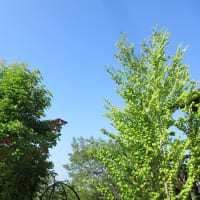 日陰仕事～♪