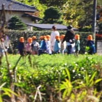 つるべ落とし