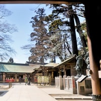 高尾山、散歩。八王子市。