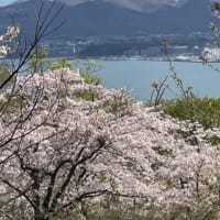 『手宮公園』