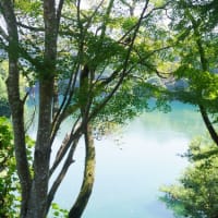 大台町「もみじの里公園、奥伊勢フォレストピア、薗川」に行ってきました～(^^)