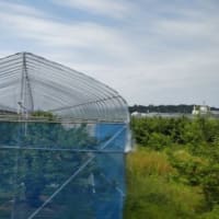 2025年6月18日～19日　山形旅