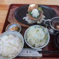 今日出かけたのは