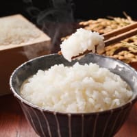 日本人男性では米飯が心血管死リスクを下げる？ 岐阜大研究