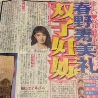 春野さんへ思いを馳せて…