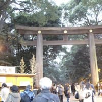 明治神宮は行ったんだけど。