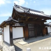 楽しいウォーク「多々良川河川敷と陣の越道を歩く」（福岡市東区）