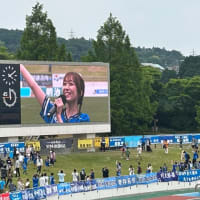 沼津勝利‼️