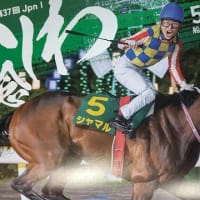 農林水産大臣賞典さきたま杯＆感覚の有益性