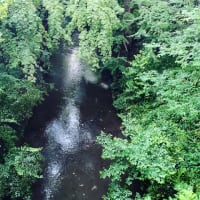 東京100kmチャレンジ