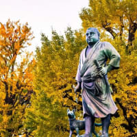  『奄美の歴史』『黒糖地獄』『祖国復帰』（再）