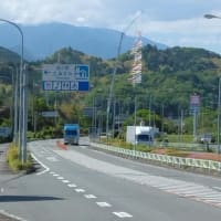たか～～い！こいのぼり