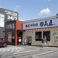 宇都宮市下ケ橋町に白鳥が来ています。