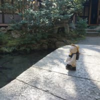京都への入口、日本一のうなぎと称された、明治5年創業の鰻料理の「逢坂山かねよ」。大きなだし巻き卵のきんし重に舌鼓