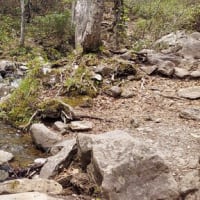 足慣らし第二段「泉ヶ岳」