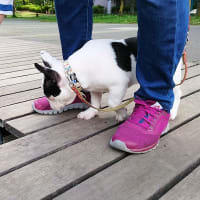 大好きだった公園