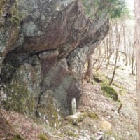 2025年4月26日(土)～28(月)　[四国]三嶺はさわやかな快晴、大好きな剣山を「眺める」山旅!!