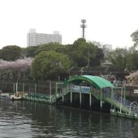 お花見in大仙公園＆大阪城