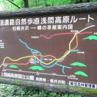 信濃路自然歩道2013.6/6-7