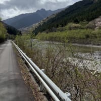 虹を観察しに奥地へ