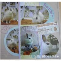 クロップの日