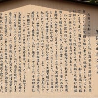黒猫大明神