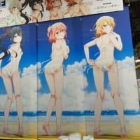「やはり俺の青春ラブコメはまちがっている。」写真＠秋葉原ホビー天国