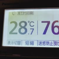 意地か？根性か？